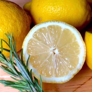 Citrus Fusion