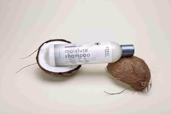 EDEN BodyWorks Coconut Shea Moisture Shampoo Gallery Image 2